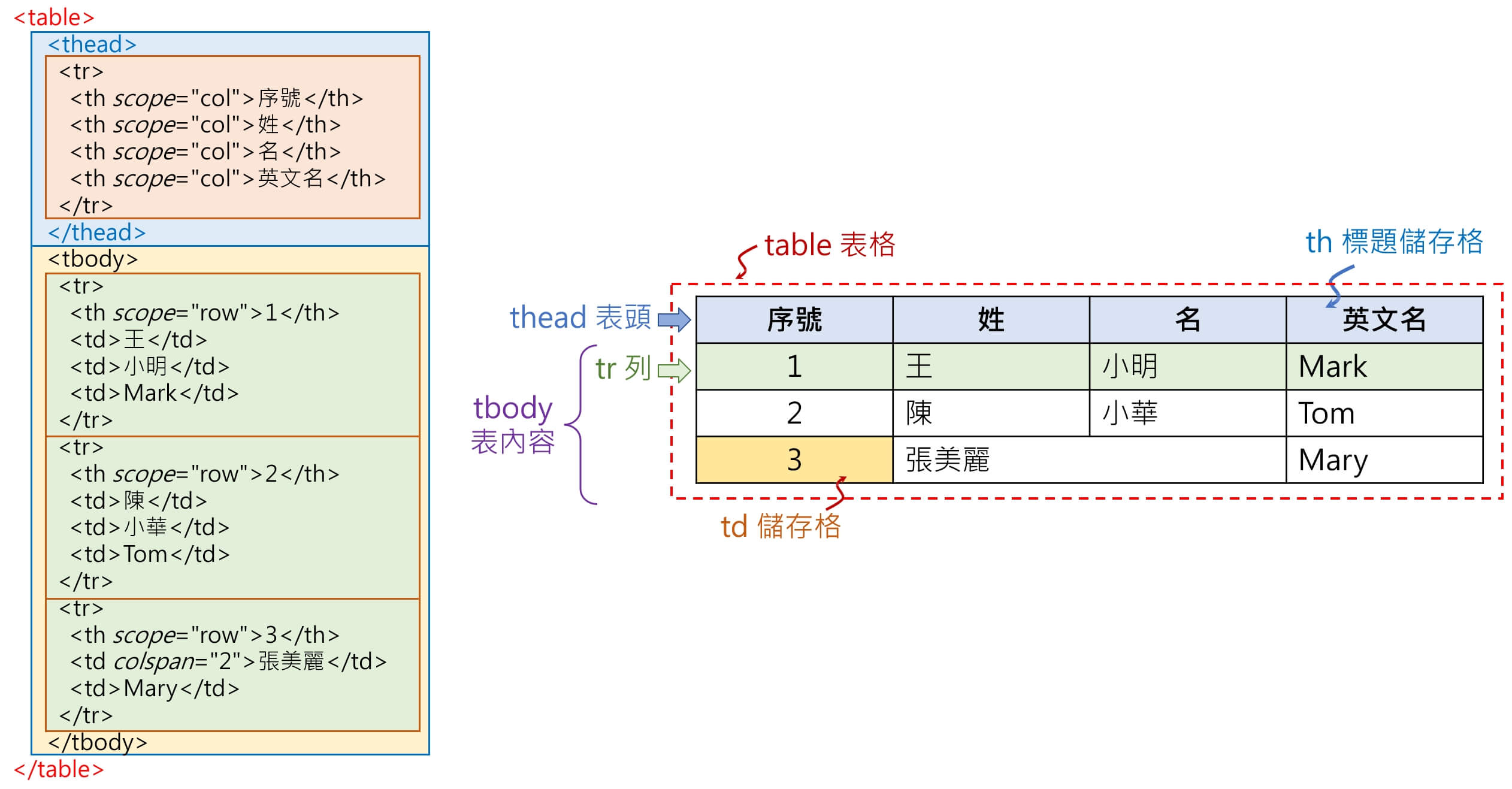 表格 結構