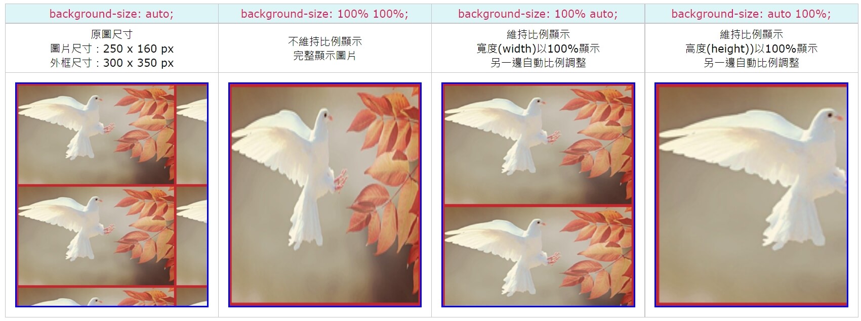 bg-size：百分比討論