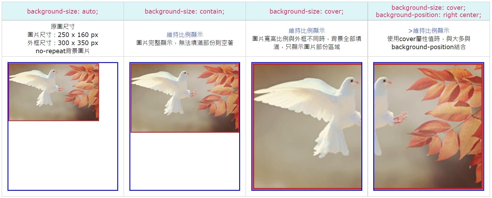 bg-size：bg-size：cover / contain 討論